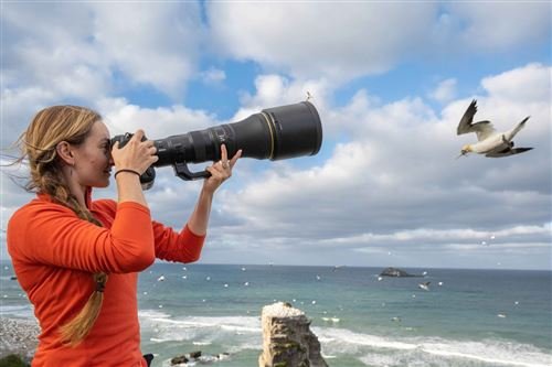 Objetivo sin espejo Nikon Z 800 mm f/6,3 VR S negro - Imagen de 6